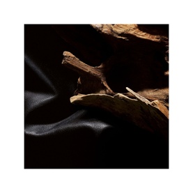 Le Vestiaire - Wild Leather