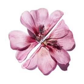 Light Up Serum Refill
