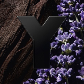 Y Le Parfum for Men