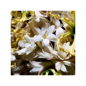 Supreme Bouquet Eau de Parfum