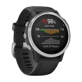 Fenix 6S Smart Watch