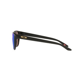 AR6048 Square Sunglasses