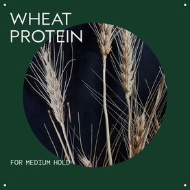 Confixor Liquid Gel 250ml