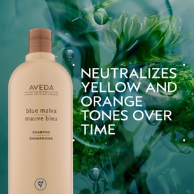 Blue Malva Shampoo 1000ml