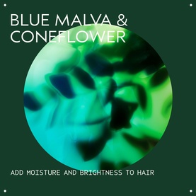 Blue Malva Shampoo 1000ml