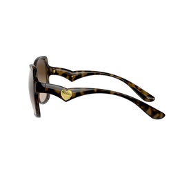 Butterfly Sunglasses 0DG6154