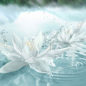 Radiant Mirage Eau de Parfum Spray&nbsp;