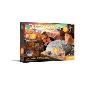 Fossil Dig Set
