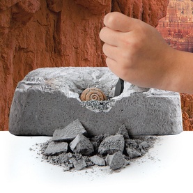 Fossil Dig Set