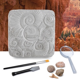 Fossil Dig Set