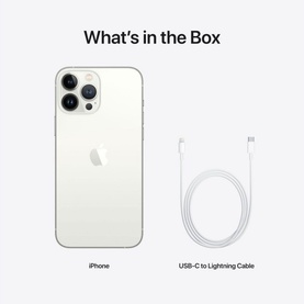 iPhone 13 Pro Max 256GB