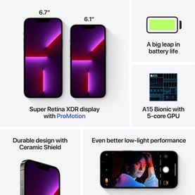 iPhone 13 Pro Max 256GB