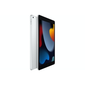10.2 Inch iPad Wi-Fi 64GB