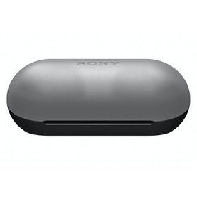 WFC500 True Wireless Buds Black