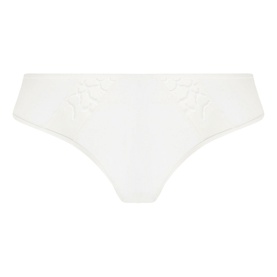 Lisse Brief