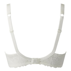 Luxurious Lace Underwire Bra
