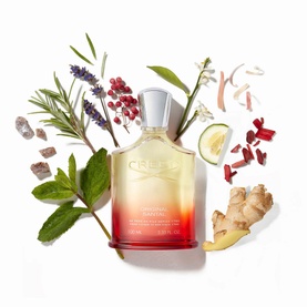 CREED Original Santal Eau de Parfum 50ml EDP bottle surrounded by fragrance ingredients including ginger, lavender, mint and wood