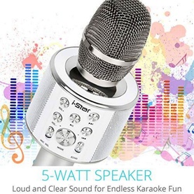 Karaoke Microphone