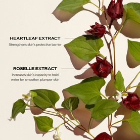 Ultimune 3.0 Serum Power Infusing Concentrate