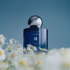 Moonlit Camomile Night Cologne