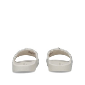 Meena Eagle Slides