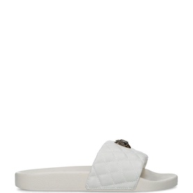 Meena Eagle Slides