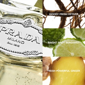 Infusion de Vetiver Eau de Parfum