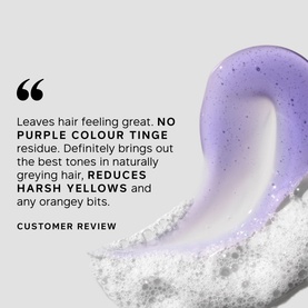 Pure Blonde-Silver Brightening Daily Shampoo