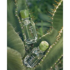 Desertland Eau de Parfum&nbsp;
