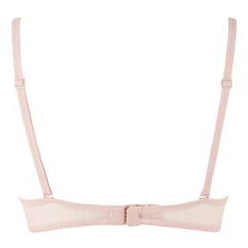 Sheer Marquisette Plunge Bra