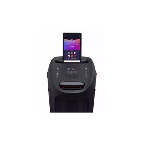Party Box 310 Speaker