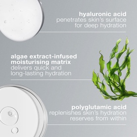 Circular Hydration Serum