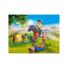 Country Welsh Pony