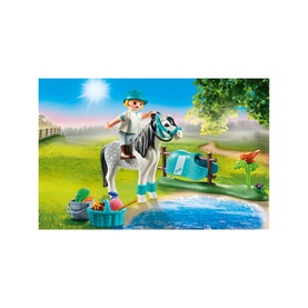 Country Classic Pony Toy