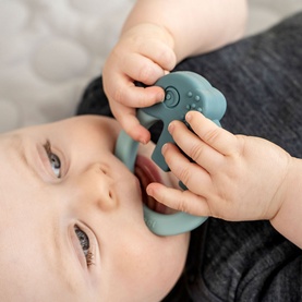 Deer Friends Teethers