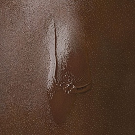 Nu Bare Look Skin Tint