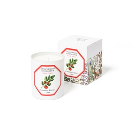 Tomato Scented Candle