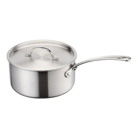 Eclipse Saucepan 20cm