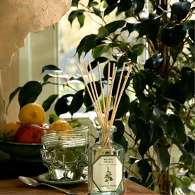 Spearmint Diffuser