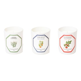 Botanical Set - Tomato, Orange Blossom, Verbena Candle