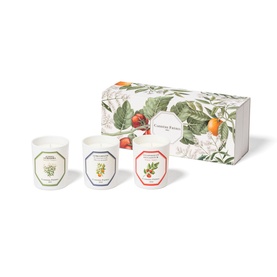 Botanical Set - Tomato, Orange Blossom, Verbena Candle