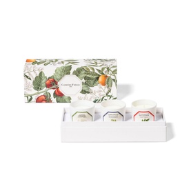 Botanical Set - Tomato, Orange Blossom, Verbena Candle