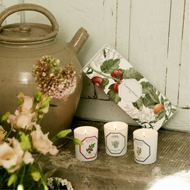 Botanical Set - Tomato, Orange Blossom, Verbena Candle