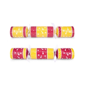 Professor Puzzle Scavenger Hunt Christmas Crackers