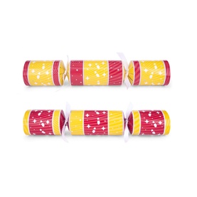 Professor Puzzle Scavenger Hunt Christmas Crackers