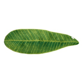Feuille Bath Rug