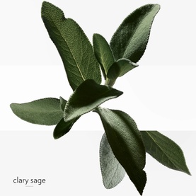 H24 Eau de Toilette 30 ml