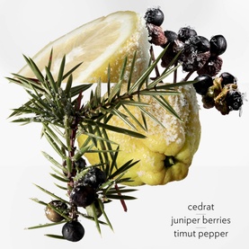 Terre d&rsquo;Herm&egrave;s Eau Givr&eacute;e Eau de Parfum