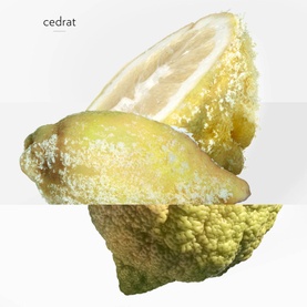 Terre d&rsquo;Herm&egrave;s Eau Givr&eacute;e Eau de Parfum