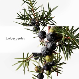 Terre d&rsquo;Herm&egrave;s Eau Givr&eacute;e Eau de Parfum